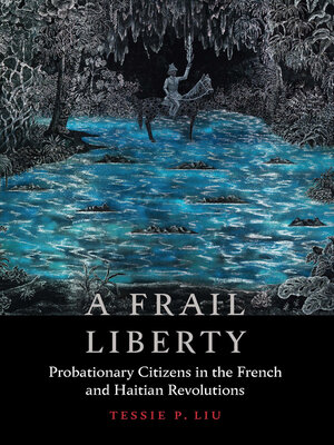 cover image of A Frail Liberty